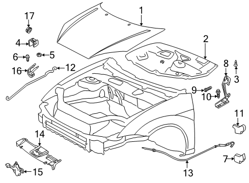 2006 Ford Focus Hood & Components Diagram