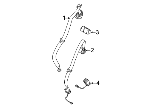 2023 Ford Bronco Sport Rear Seat Belts Diagram