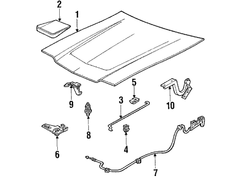 1985 Ford Escort Hood & Components Diagram