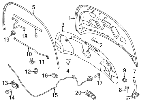 2014 Ford Explorer Hood & Components Diagram