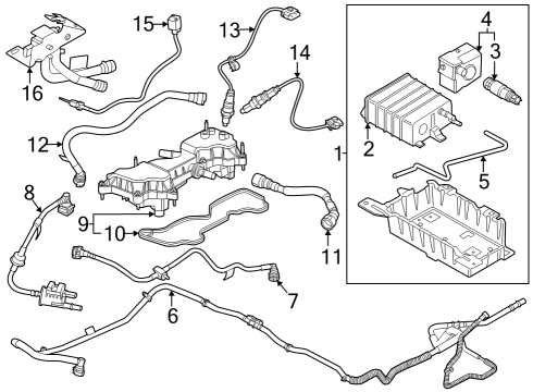 2024 Ford Mustang Emission Components Diagram