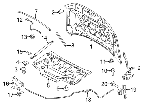 2024 Ford Expedition Hood & Components Diagram