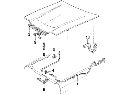 1988 Ford EXP Hood & Components, Exterior Trim Diagram