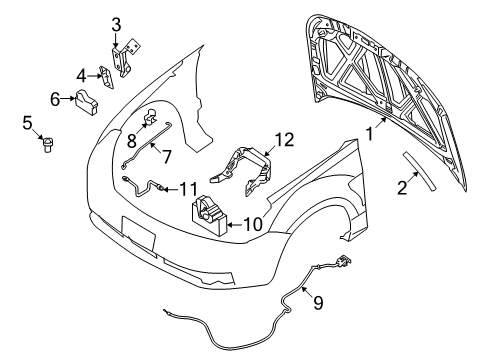 2011 Ford Focus Hood & Components Diagram