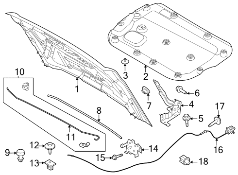 2022 Ford Bronco Hood & Components Diagram