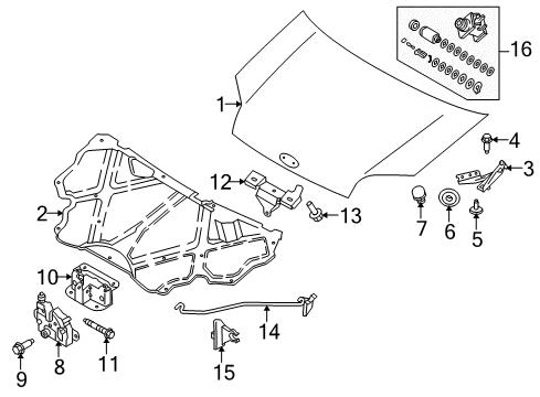 2011 Ford Transit Connect Hood & Components, Body Diagram