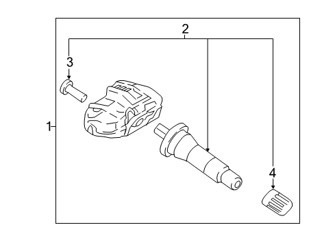 2019 Ford EcoSport Tire Pressure Monitoring Diagram