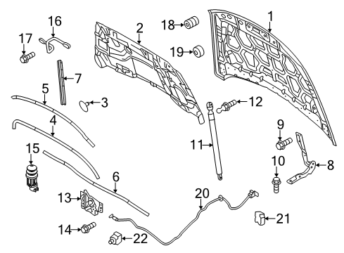 2016 Ford Special Service Police Sedan Hood & Components Diagram