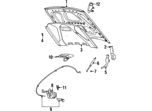 2002 Mercury Grand Marquis Hood & Components Diagram