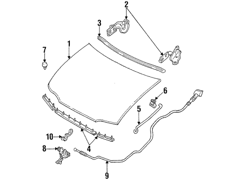 1995 Ford Aspire Hood Assembly Diagram for F4BZ16612A