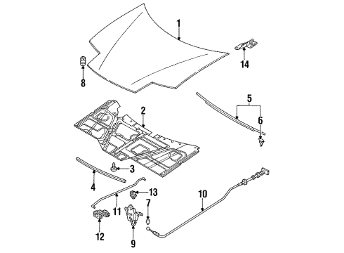 1997 Ford Probe Hood & Components, Body Diagram