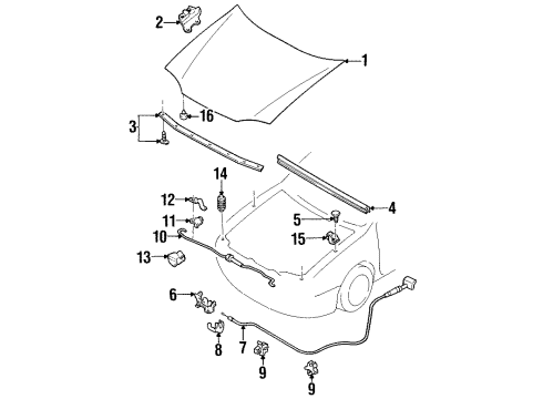 1999 Ford Escort Hood Assy - Less Hinges Diagram for F8CZ-16612-AA