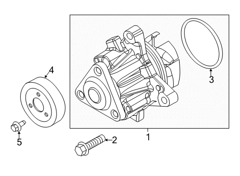 2014 Ford Focus Water Pump Diagram