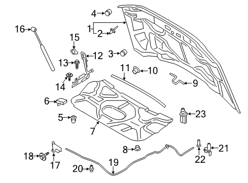 2017 Ford F-250 Super Duty Hood & Components Diagram