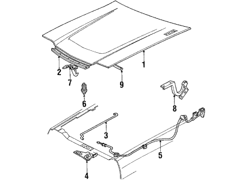 1990 Ford Escort Hood & Components Diagram