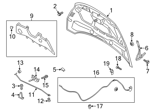 2014 Ford C-Max Hood & Components Diagram