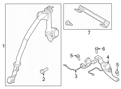 2024 Ford Mustang Rear Seat Belts Diagram