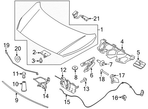 2016 Ford Transit Connect Hood & Components Diagram