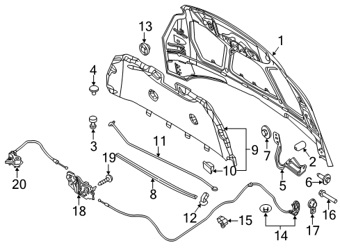 2016 Ford Focus Hood Assembly - Less Hinges Diagram for F1EZ-16612-A