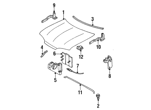 2000 Mercury Mystique Hood Assembly Diagram for F8RZ-16612-BA