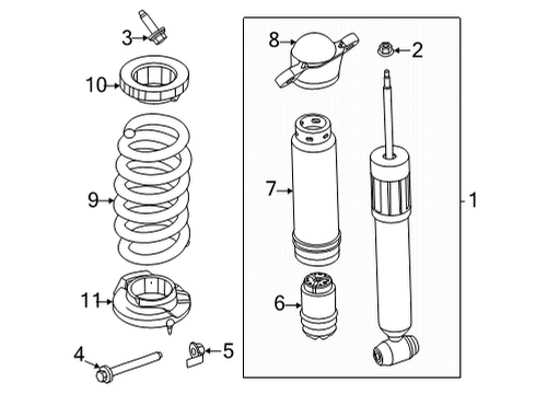 2021 Ford Mustang Mach-E Shocks & Components - Rear Diagram