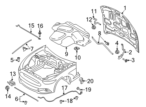 2019 Ford Mustang Hood & Components Diagram