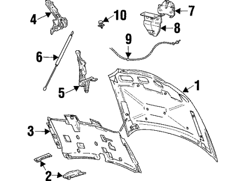 1998 Mercury Sable Hood Assembly Diagram for F6DZ16612B