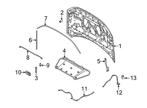 2023 Ford Bronco Sport Hood & Components Diagram