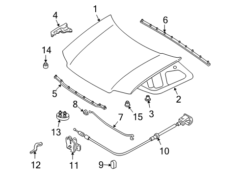 2007 Ford Escape Hood & Components Diagram