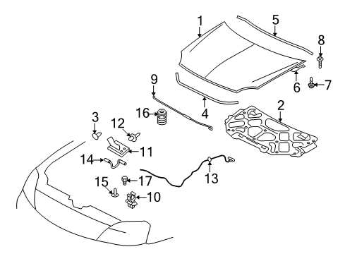 2009 Ford Taurus X Hood & Components, Body Diagram