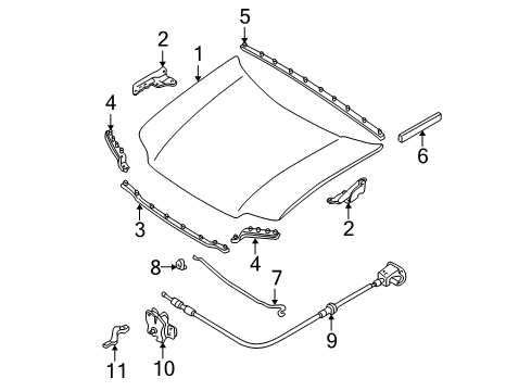 2002 Ford Escape Hood & Components Diagram