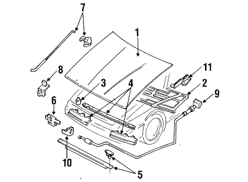 1994 Ford Escort Hood & Components Diagram