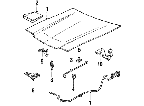 1984 Ford Escort Hood & Components Diagram