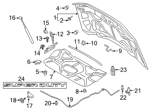 2019 Ford F-350 Super Duty Hood & Components Diagram