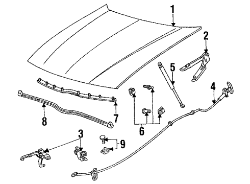 1992 Mercury Sable Hood Assembly Diagram for F24Y16612A