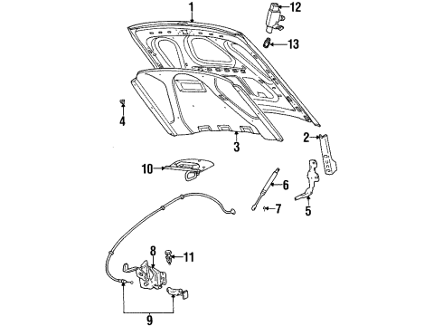 2000 Ford Crown Victoria Hood & Components Diagram