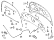 2018 Ford Explorer Hood Diagram - FB5Z-16612-A