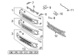 Ford Bronco Emblem Diagram - M2DZ-8A224-AAPTM