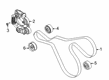 2021 Ford Police Interceptor Utility V-Belt Diagram - L1MZ-8620-F