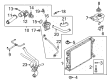 2014 Ford Mustang Thermostat Housing Diagram - 7R3Z-8592-B