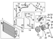 Ford Escape A/C Compressor Diagram - CV6Z-19703-M