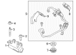 2016 Ford Transit Connect Oil Cooler Hose Diagram - DT1Z-7R081-A