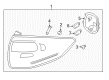 2015 Ford C-Max Light Socket Diagram - DM5Z-13711-C