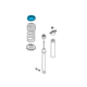 2021 Ford Escape Coil Spring Insulator Diagram - LX6Z-8321-E