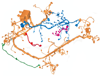 Ford FU5Z-12A581-AP Wire Assembly Ford FU5Z-12A581-AP Wire Assembly