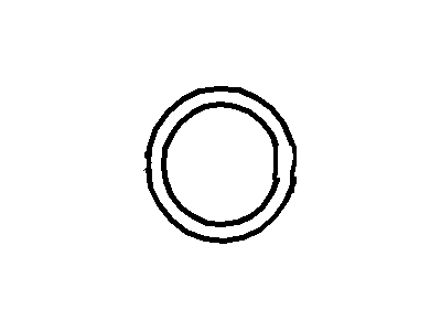 Lincoln 1W1Z-19E889-DC "O" Ring