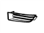 Ford 7T4Z-17E810-A Grille - Bumper