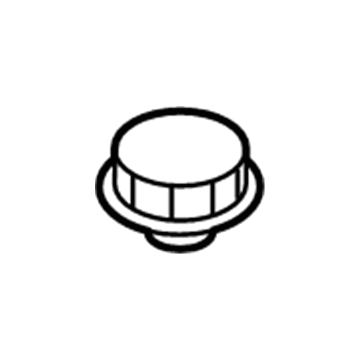 Lincoln DG9Z-8100-A Reservoir Cap