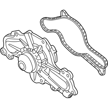 Lincoln DG1Z-8501-D Water Pump Assembly