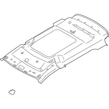 Ford DT1Z-1751942-AAH Headliner